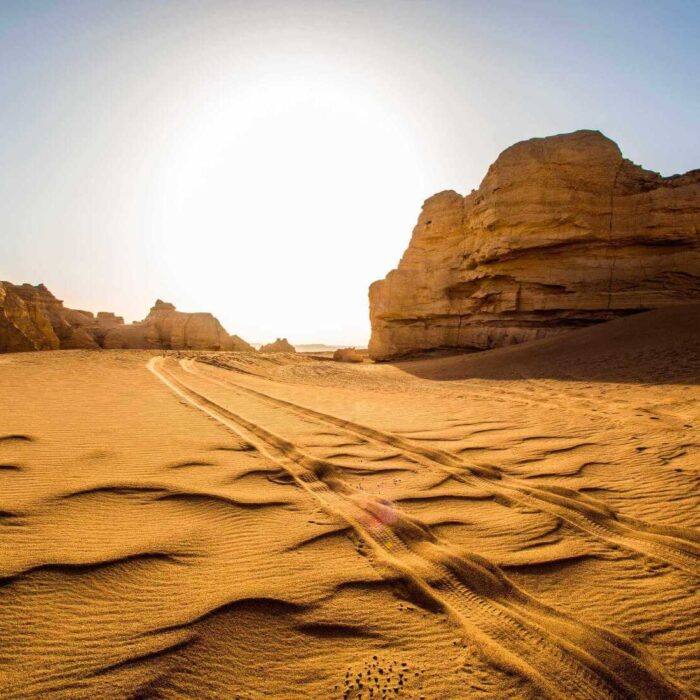 dry-desert-EN2DR69.jpg