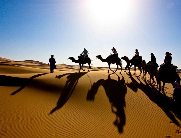 camel trekking