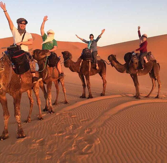 sunset-camel-trek-in-merzouga-1
